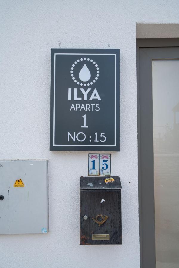 Ilya 1 *